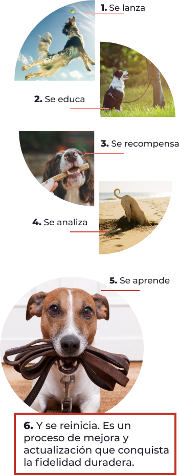 fidelización duradera